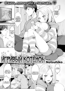 Игривый Котёнок